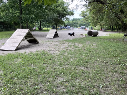 Watson Dog Park photo 2
